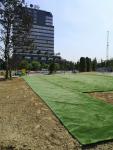 Imagine atasata: Iulius Town - 2019.08.29 - 09.jpg